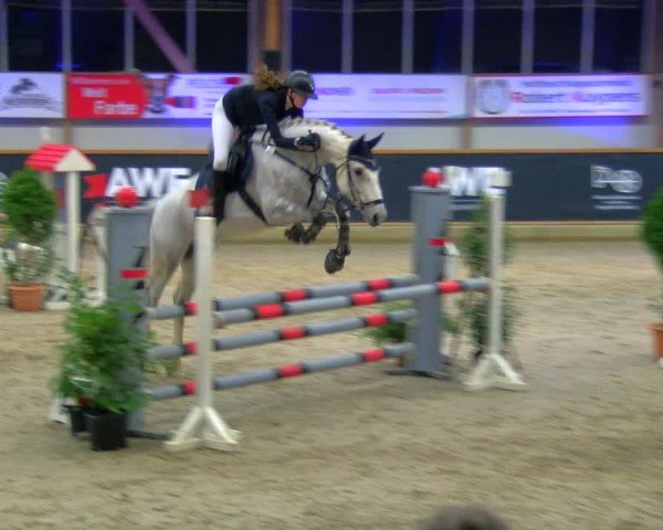 Reitturnier Asperden 2025