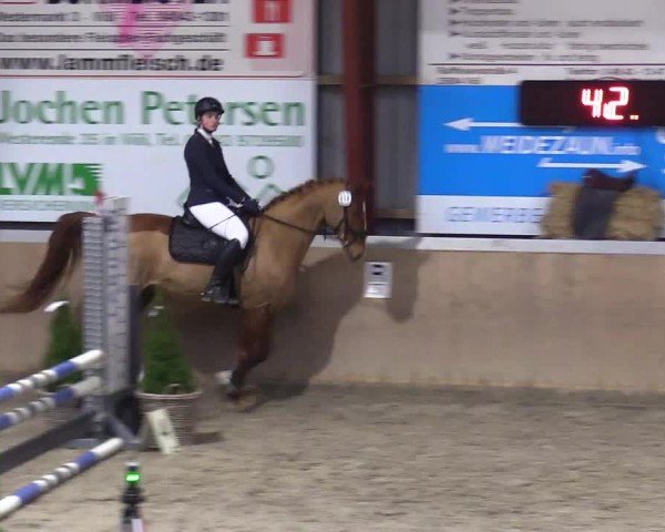 Reitturnier Behrendorf 2025