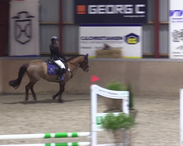 Reitturnier Behrendorf 2025