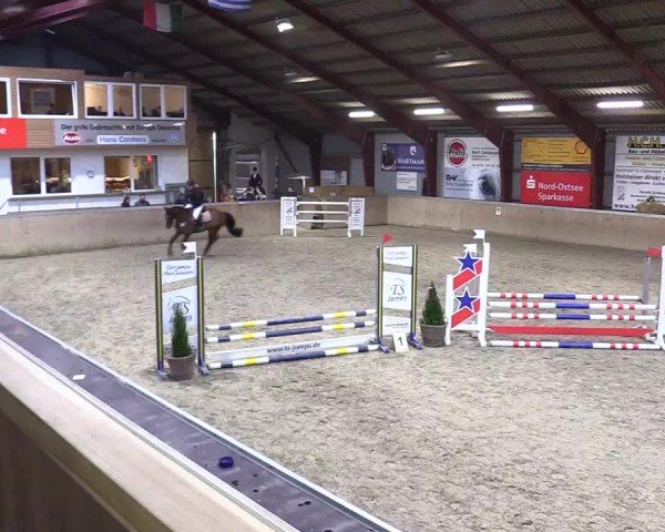 Reitturnier Behrendorf 2025