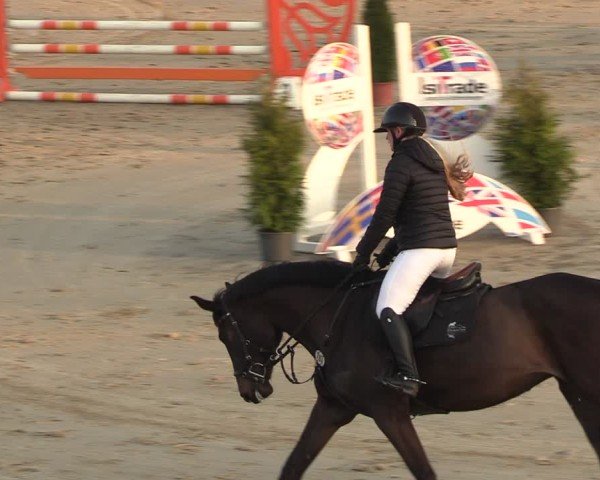 Reitturnier Scharnebeck 2025