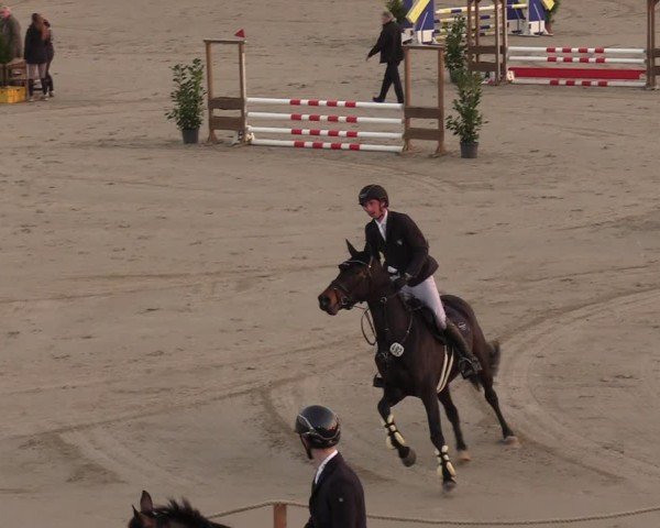 Reitturnier Scharnebeck 2025