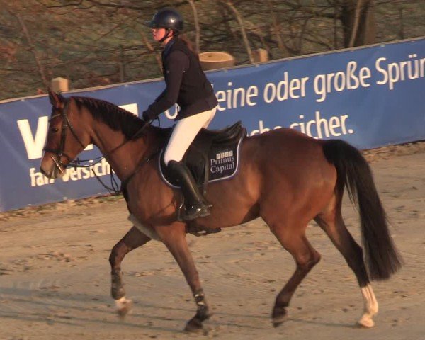 Reitturnier Scharnebeck 2025