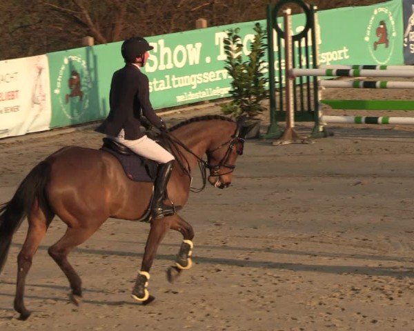 Reitturnier Scharnebeck 2025