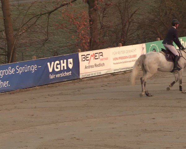 Reitturnier Scharnebeck 2025