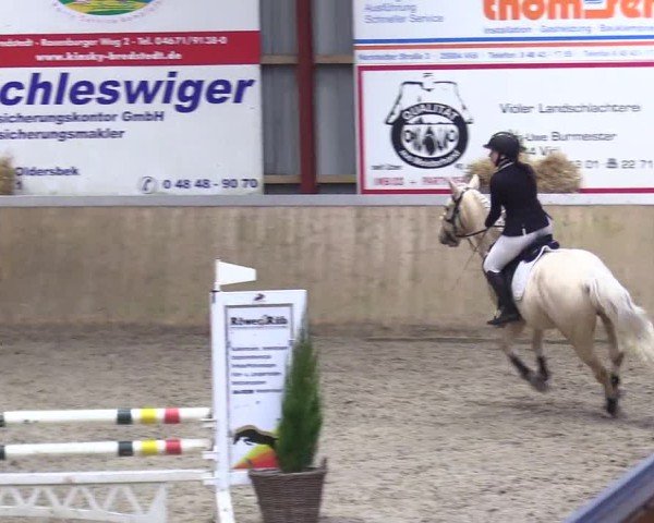 Reitturnier Behrendorf 2025