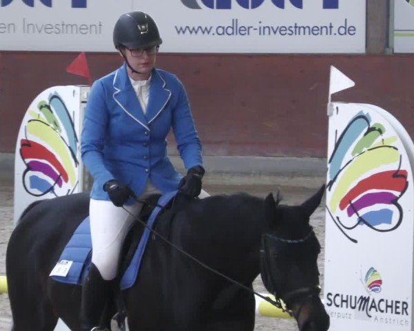 Reitturnier Viernheim 2025
