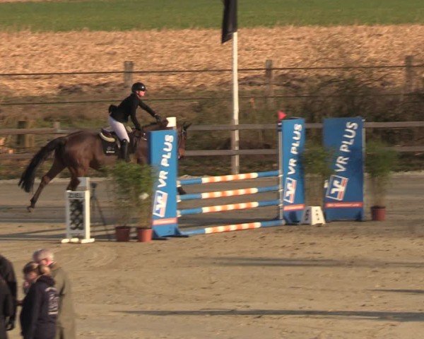 Reitturnier Scharnebeck 2025