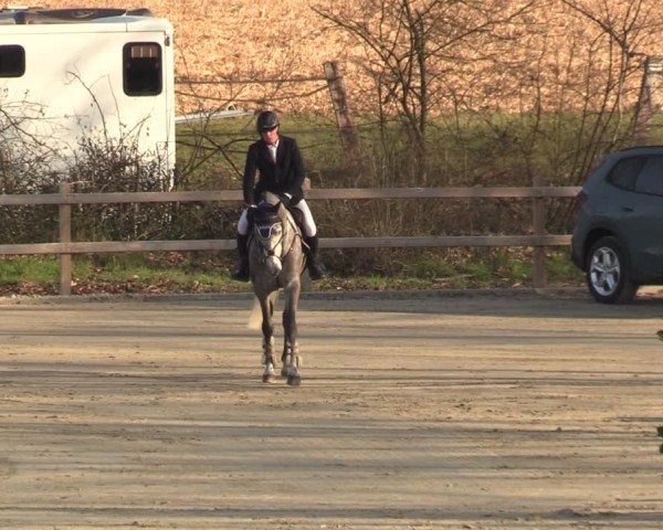 Reitturnier Scharnebeck 2025
