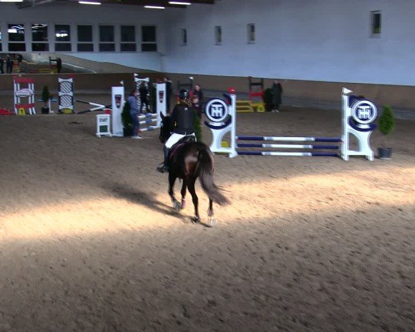 Reitturnier Freudenberg 2025