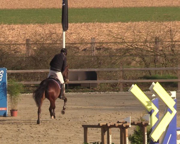 Reitturnier Scharnebeck 2025