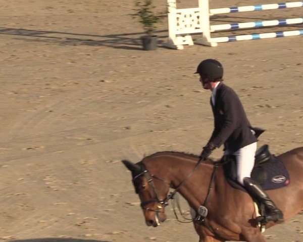 Reitturnier Scharnebeck 2025