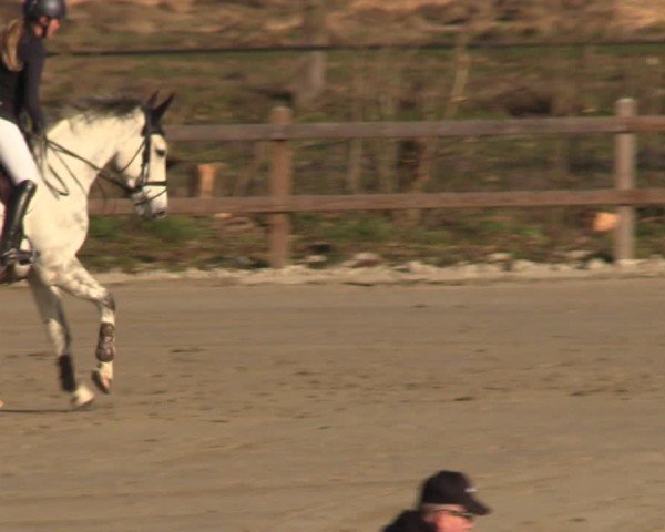 Reitturnier Scharnebeck 2025