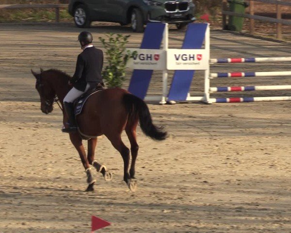 Reitturnier Scharnebeck 2025