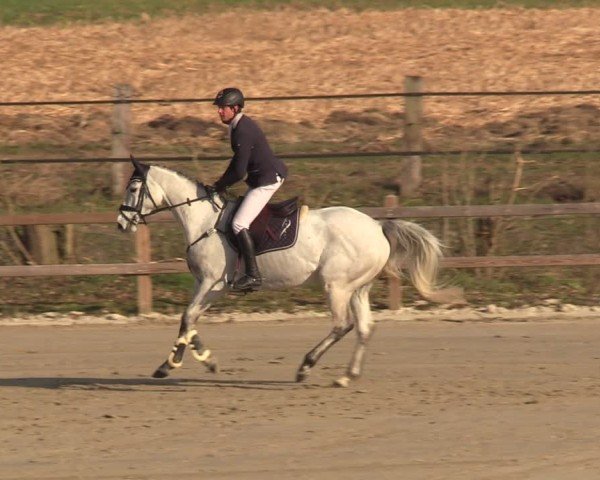 Reitturnier Scharnebeck 2025
