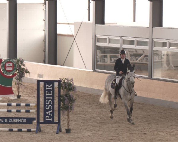 Reitturnier Borken (Hessen) 2025