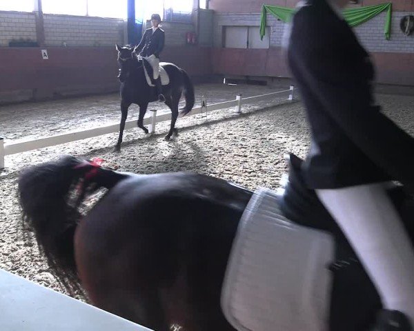 Reitturnier Hellefeld 2025
