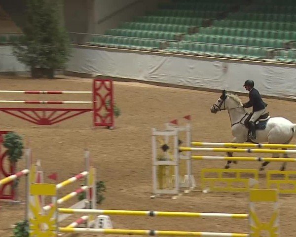 Reitturnier Kreuth 2025