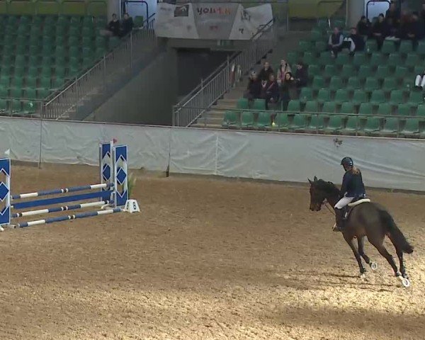 Reitturnier Kreuth 2025