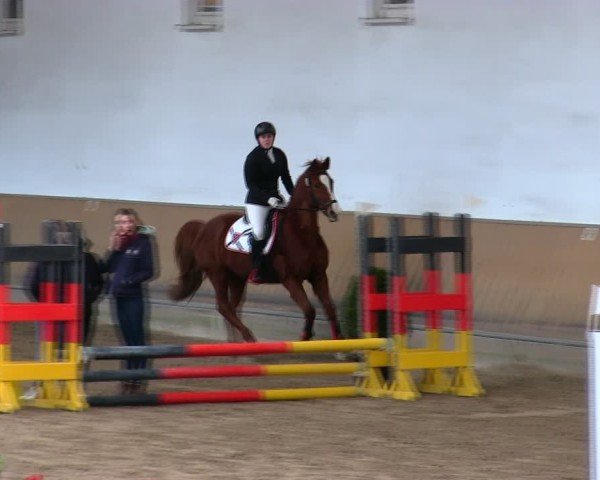Reitturnier Freudenberg 2025
