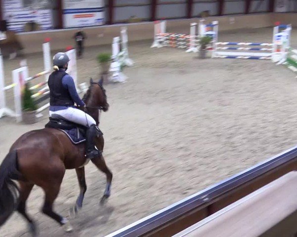 Reitturnier Behrendorf 2025