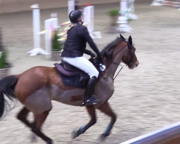 Reitturnier Behrendorf 2025