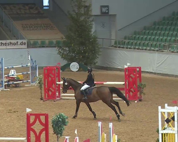 Reitturnier Kreuth 2025