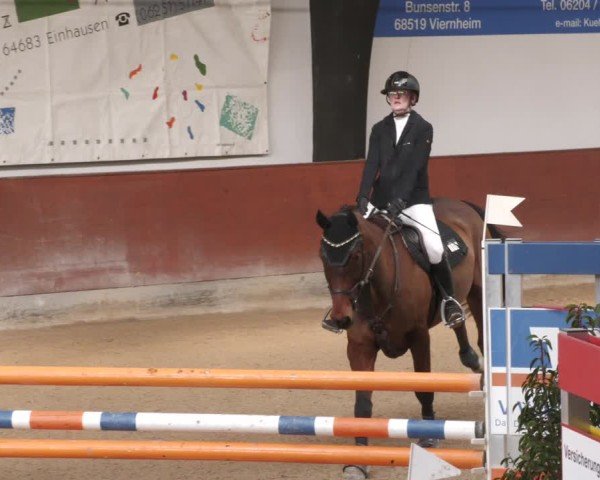 Reitturnier Viernheim 2025