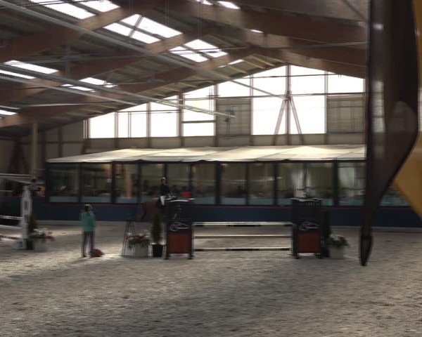 Reitturnier Oberriet 2025