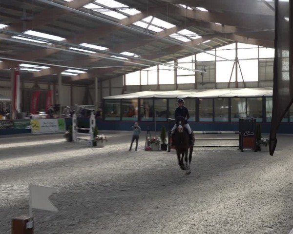 Reitturnier Oberriet 2025