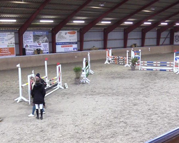 Reitturnier Behrendorf 2025