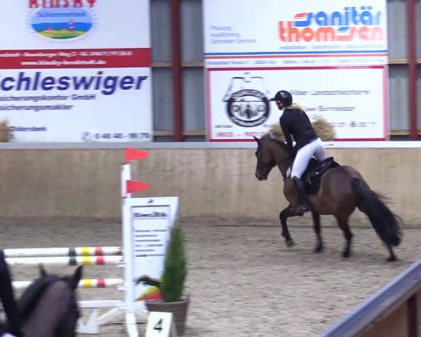 Reitturnier Behrendorf 2025