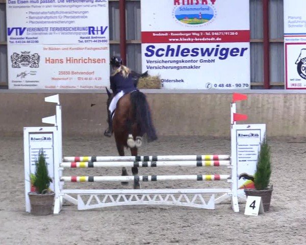 Reitturnier Behrendorf 2025