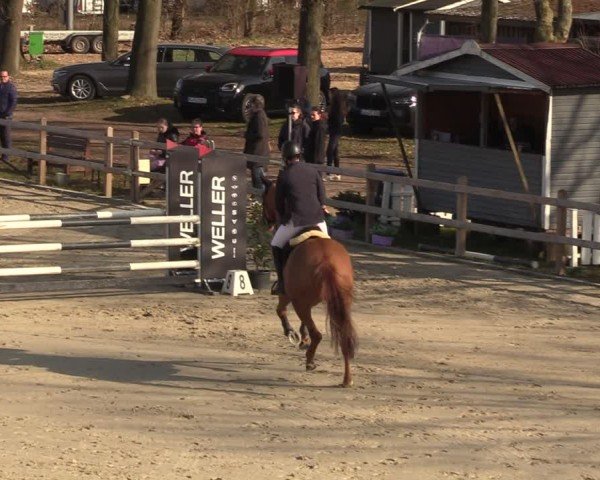 Reitturnier Scharnebeck 2025