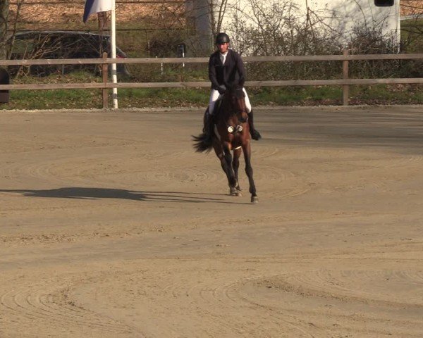 Reitturnier Scharnebeck 2025