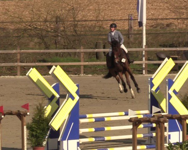 Reitturnier Scharnebeck 2025