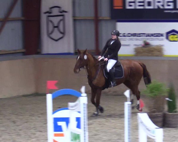 Reitturnier Behrendorf 2025