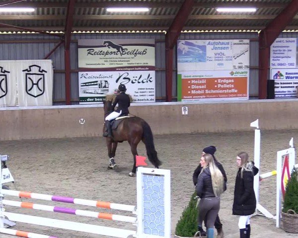 Reitturnier Behrendorf 2025