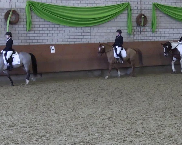 Reitturnier Hellefeld 2025