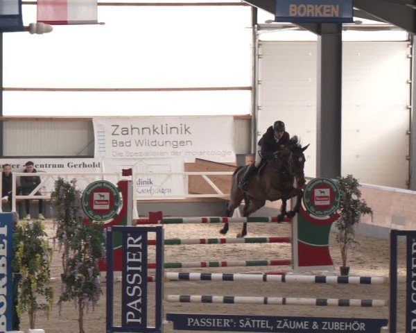 Reitturnier Borken (Hessen) 2025