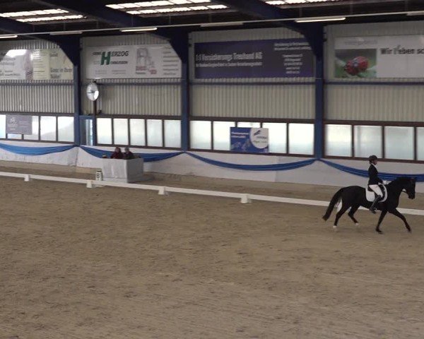 Reitturnier Buchs ZH 2025