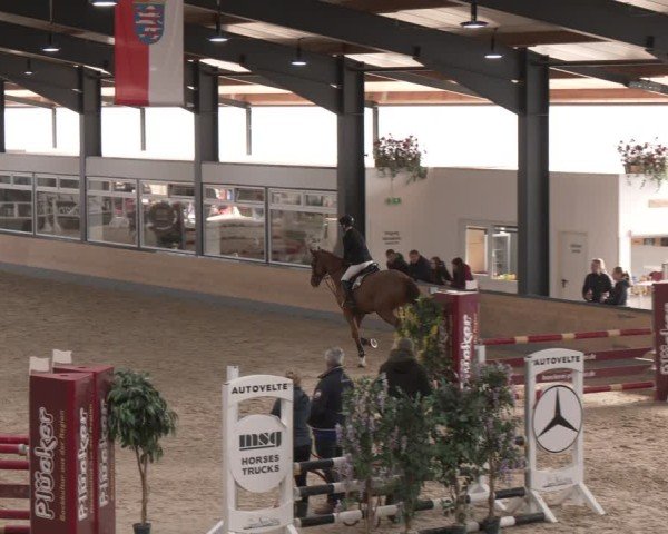 Reitturnier Borken (Hessen) 2025