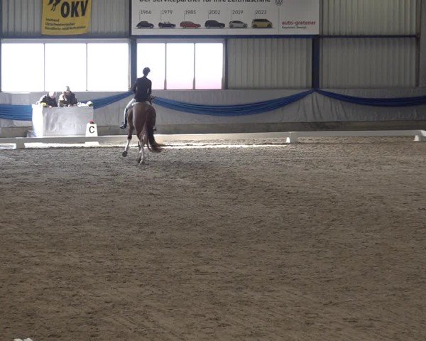 Reitturnier Buchs ZH 2025
