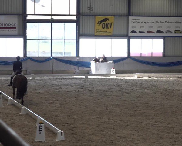Reitturnier Buchs ZH 2025