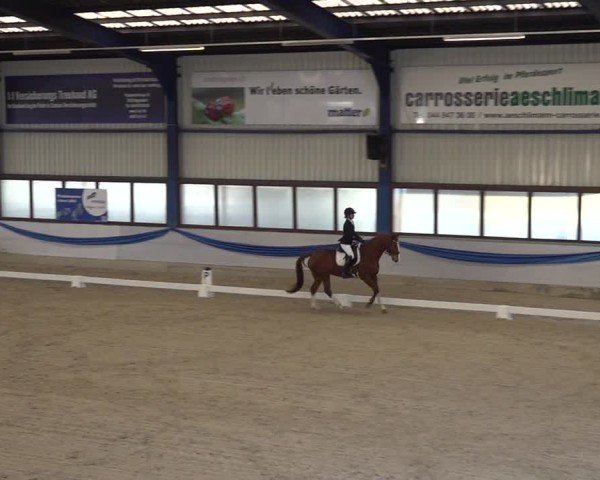 Reitturnier Buchs ZH 2025