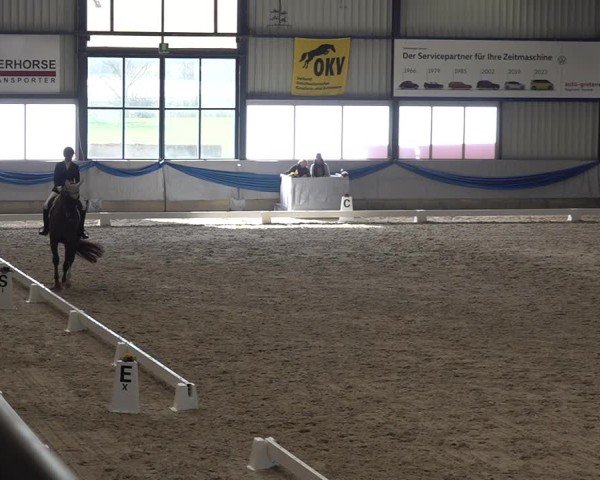 Reitturnier Buchs ZH 2025