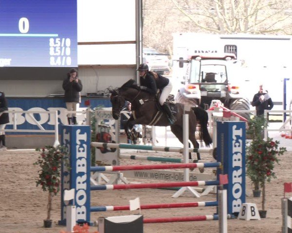 Reitturnier Borken (Hessen) 2025