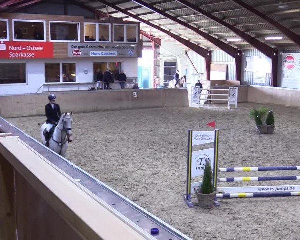 Reitturnier Behrendorf 2025