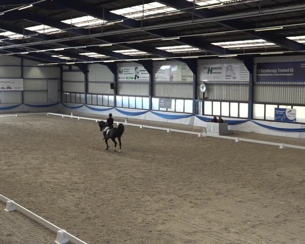 Reitturnier Buchs ZH 2025