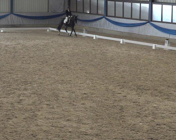 Reitturnier Buchs ZH 2025